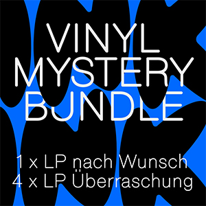 Vinyl Mystery Bundle